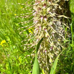 22-05-08 10-59-58 0759